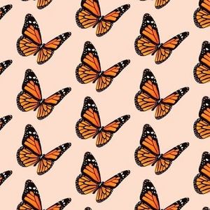 Meet your Posher, Sierra